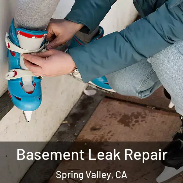  Basement Leak Repair Spring Valley, CA