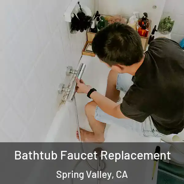  Bathtub Faucet Replacement Spring Valley, CA