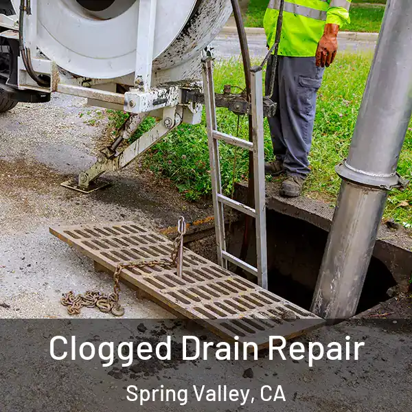 Clogged Drain Repair Spring Valley, CA