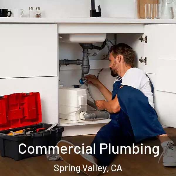  Commercial Plumbing Spring Valley, CA