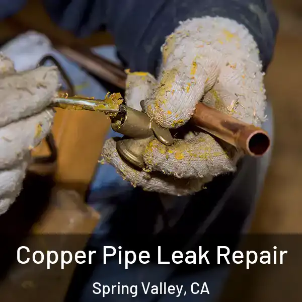 Copper Pipe Leak Repair Spring Valley, CA