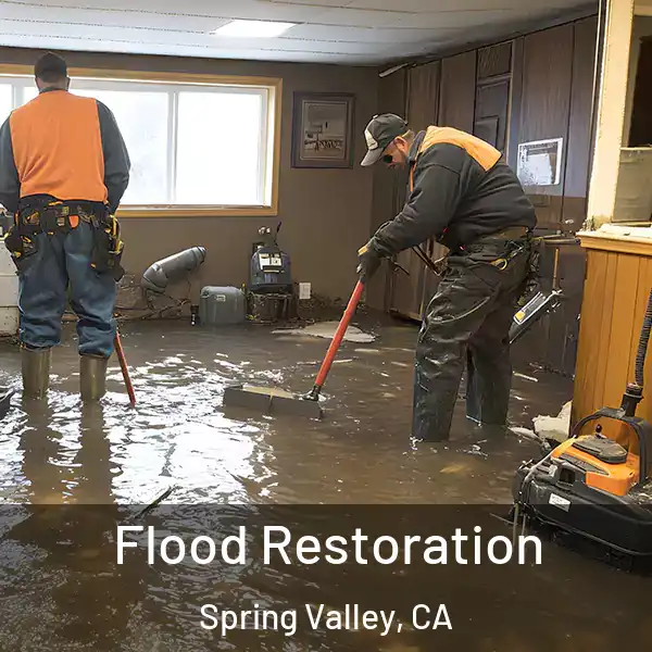  Flood Restoration Spring Valley, CA