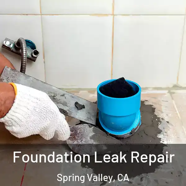  Foundation Leak Repair Spring Valley, CA