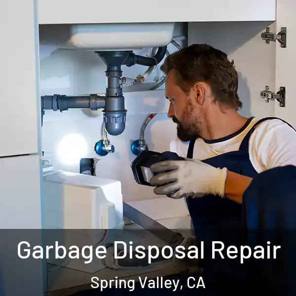  Garbage Disposal Repair Spring Valley, CA