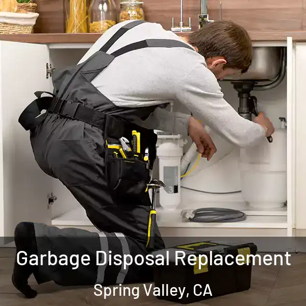  Garbage Disposal Replacement Spring Valley, CA