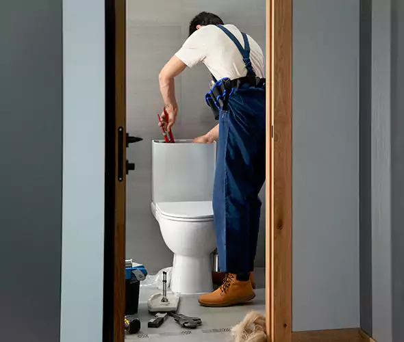 Professional Plumbers for Toilet Bowl Replacement in Spring Valley, CA: Schedule Affordable Toilet Replacement Services With Us