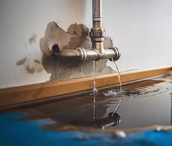 Professional Water Damage Restoration Experts in Spring Valley, CA — Fast, Reliable & Certified