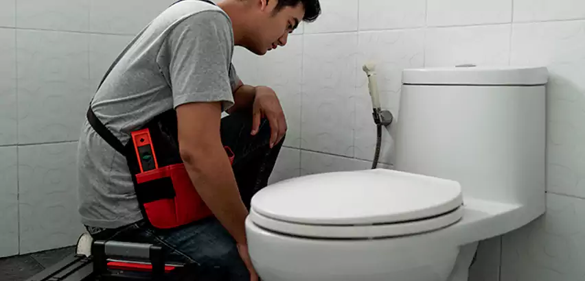 Toilet Repair in Spring Valley