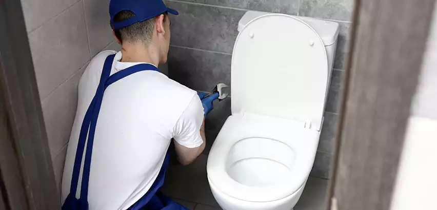 Toilet Lid Replacement in Spring Valley