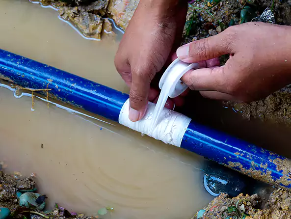  Why Choose Spring Valley Pro Plumbers for Leak Detection in Spring Valley, CA?]