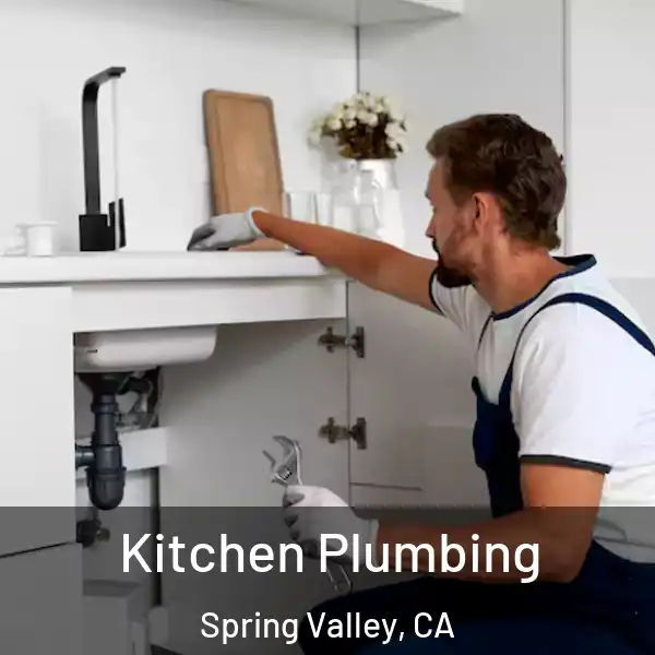  Kitchen Plumbing Spring Valley, CA