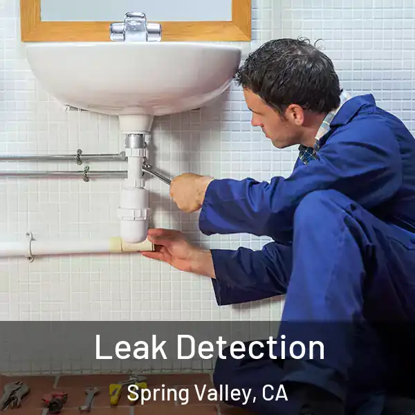  Leak Detection Spring Valley, CA