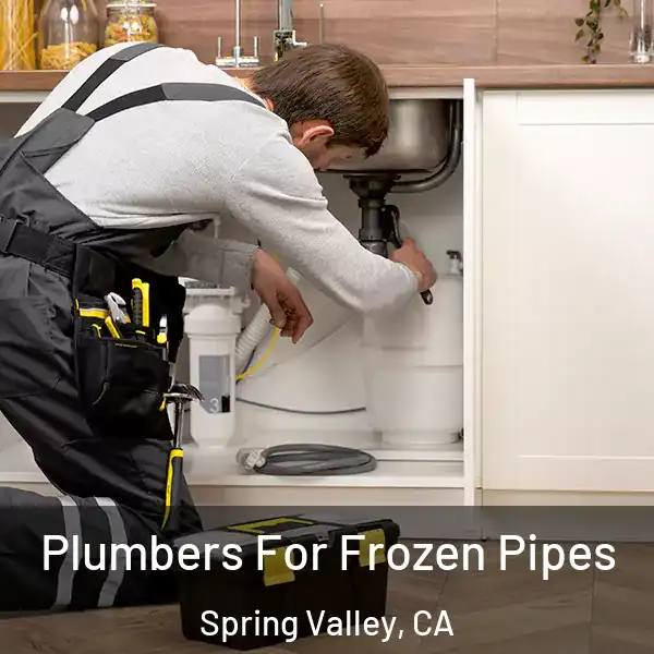 Plumbers For Frozen Pipes Spring Valley, CA