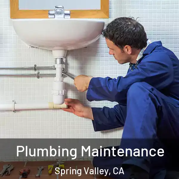  Plumbing Maintenance Spring Valley, CA