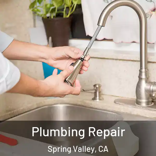  Plumbing Repair Spring Valley, CA