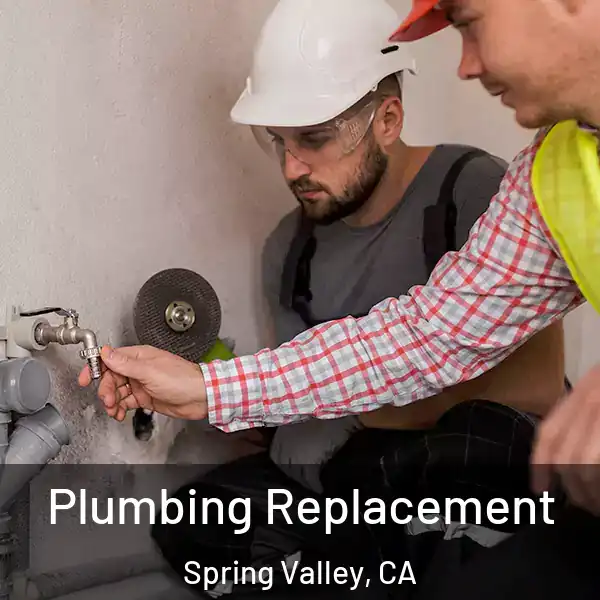  Plumbing Replacement Spring Valley, CA