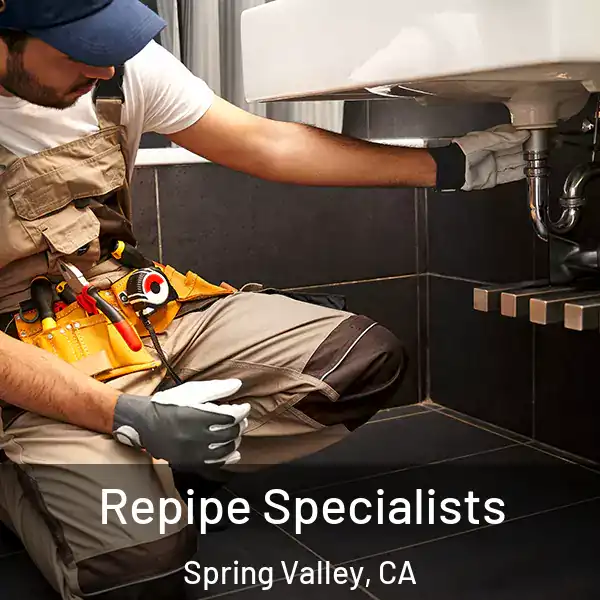  Repipe Specialists Spring Valley, CA