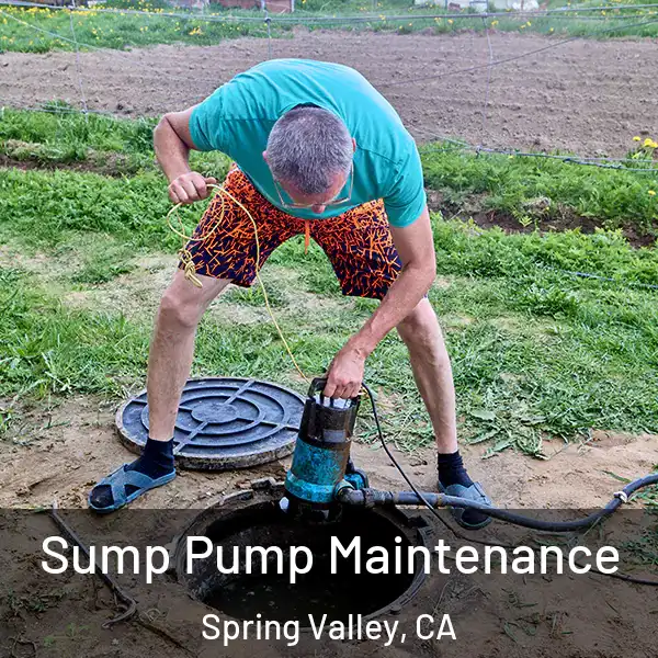  Sump Pump Maintenance Spring Valley, CA