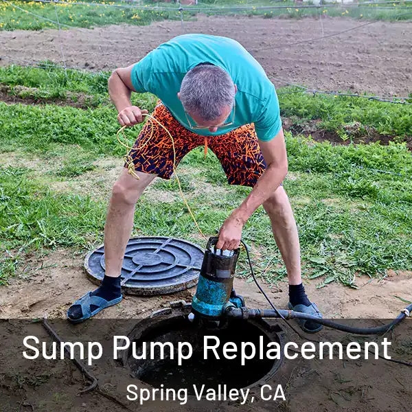  Sump Pump Replacement Spring Valley, CA