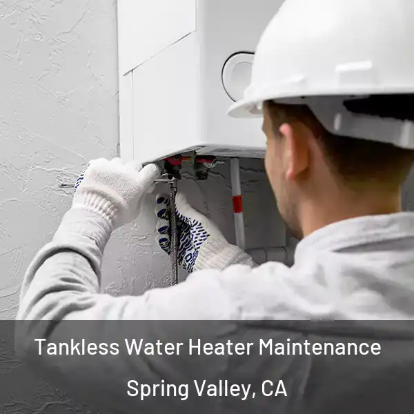  Tankless Water Heater Maintenance Spring Valley, CA