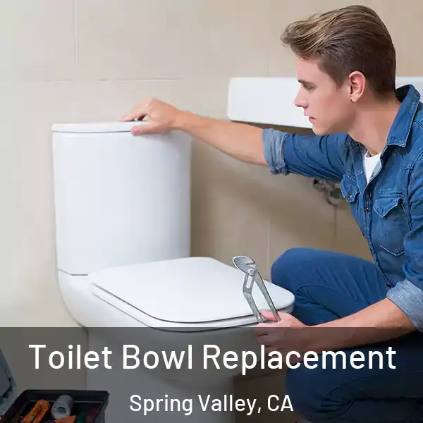  Toilet Bowl Replacement Spring Valley, CA