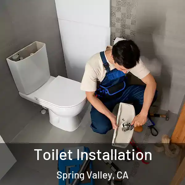  Toilet Installation Spring Valley, CA