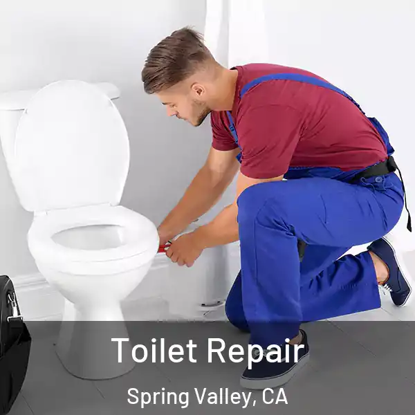  Toilet Repair Spring Valley, CA