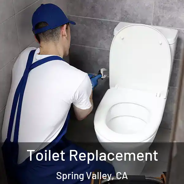  Toilet Replacement Spring Valley, CA