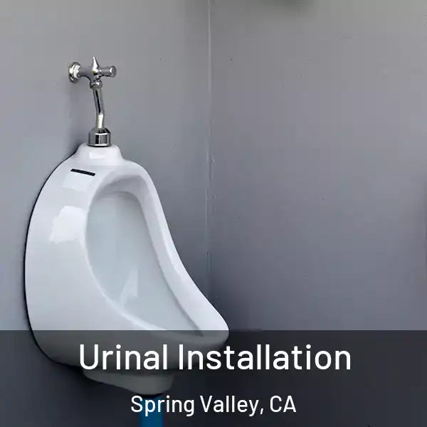  Urinal Installation Spring Valley, CA