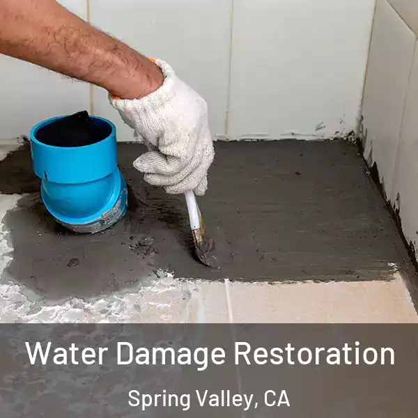 Water Damage Restoration Spring Valley, CA