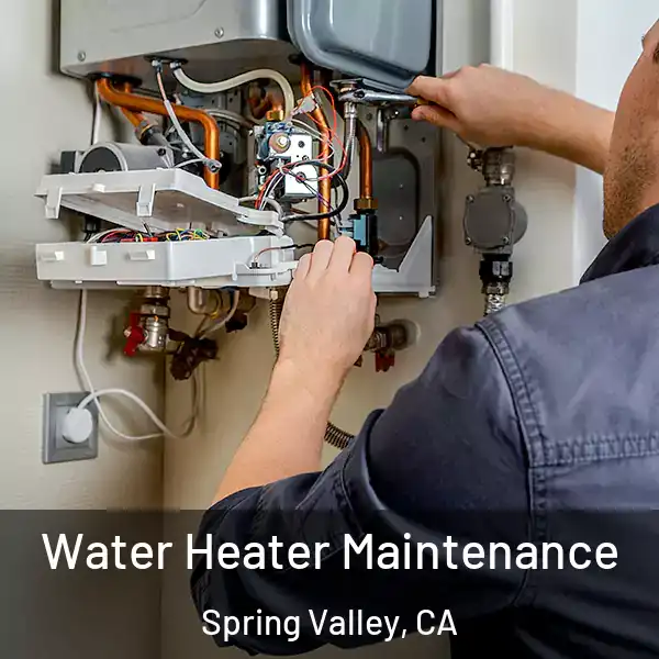  Water Heater Maintenance Spring Valley, CA