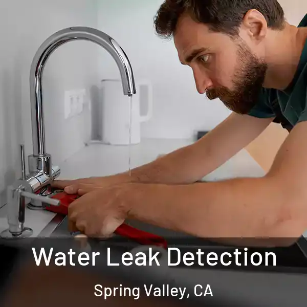  Water Leak Detection Spring Valley, CA