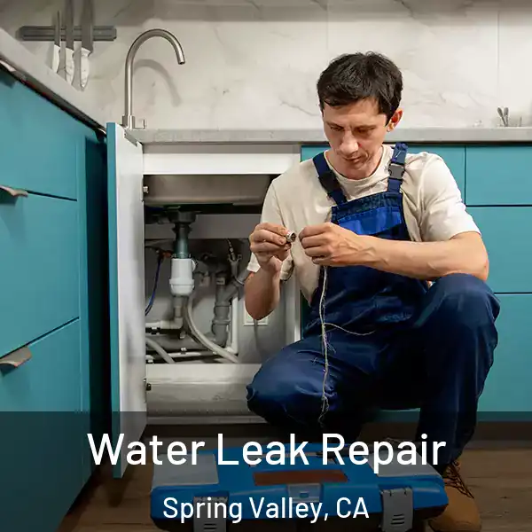  Water Leak Repair Spring Valley, CA