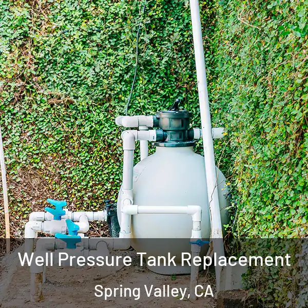  Well Pressure Tank Replacement Spring Valley, CA