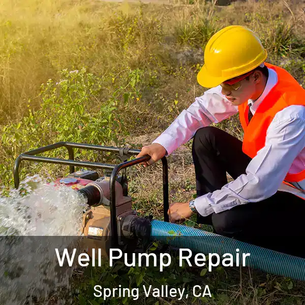  Well Pump Repair Spring Valley, CA