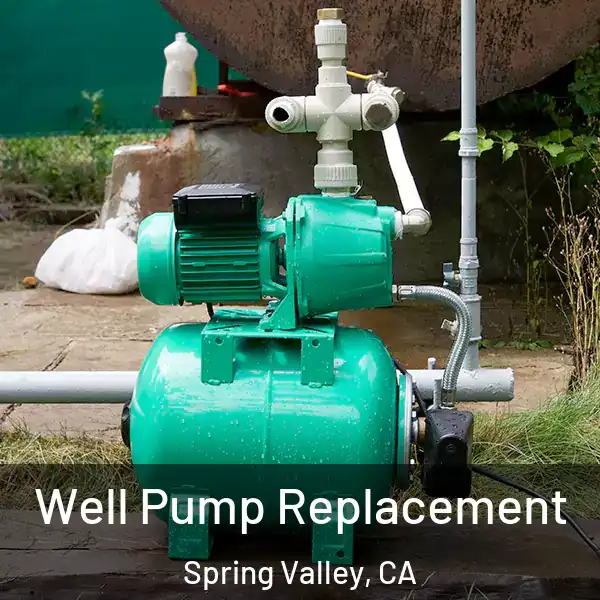  Well Pump Replacement Spring Valley, CA